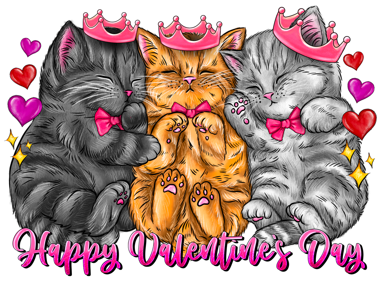 "Happy Valentines Day Cat" DTF TRANSFER