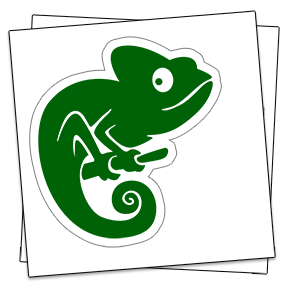 Custom Die Cut Vinyl Stickers